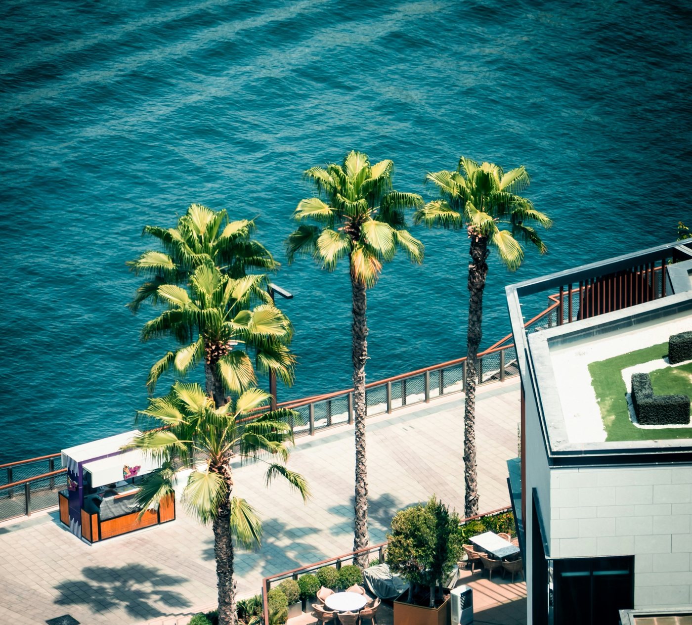 Palm trees on a seaside promenade in Antalya